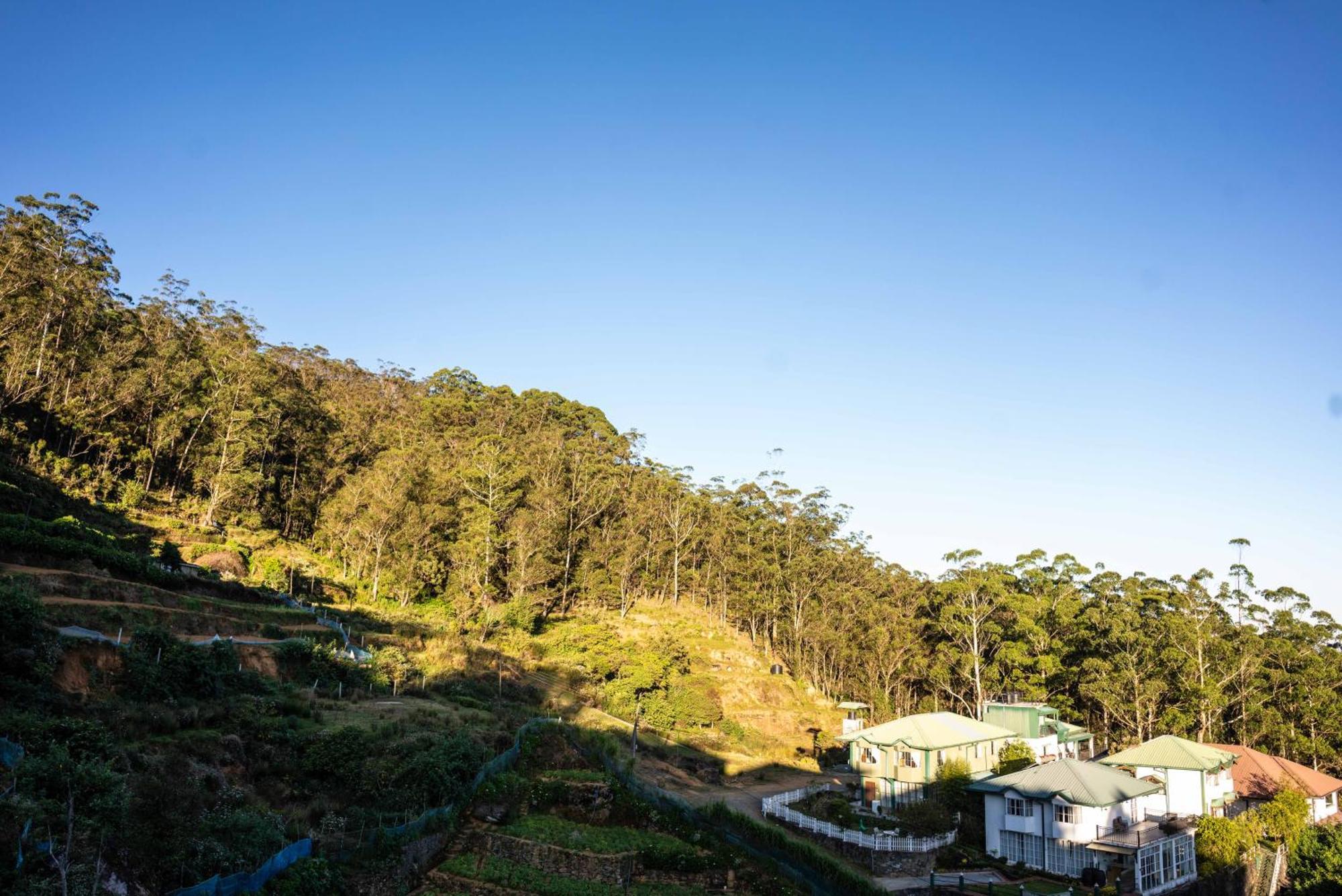 Forest View Lodge Nuwara Eliya Exterior photo